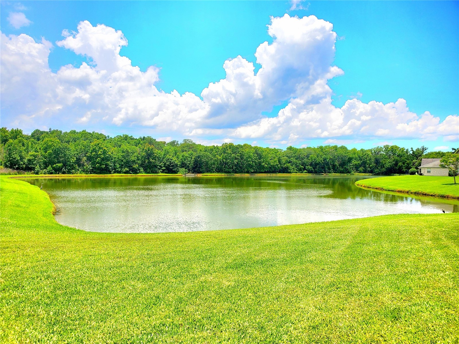25644 Frith Street Land O Lakes FL 34639 TB8517462 image2