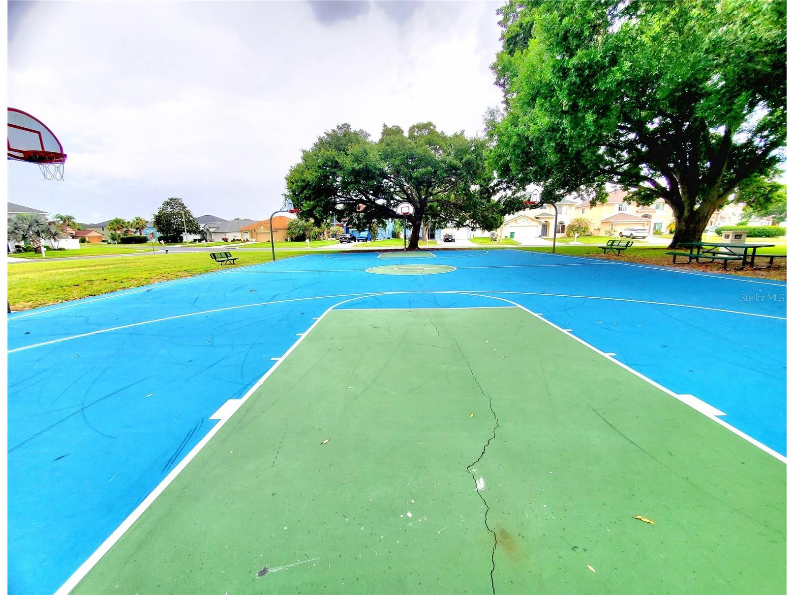 25644 Frith Street Land O Lakes FL 34639 TB8517462 image54