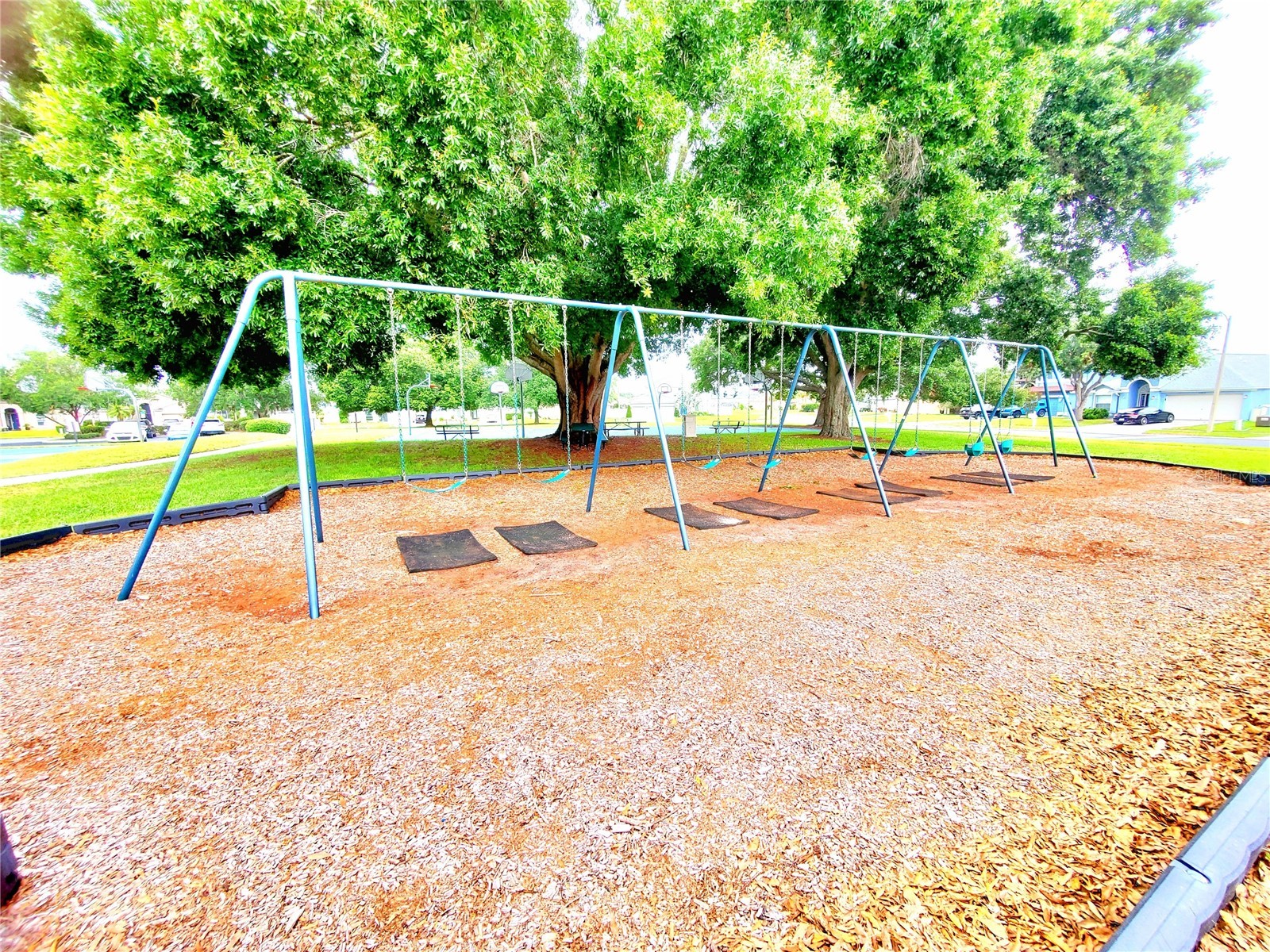 25644 Frith Street Land O Lakes FL 34639 TB8517462 image56