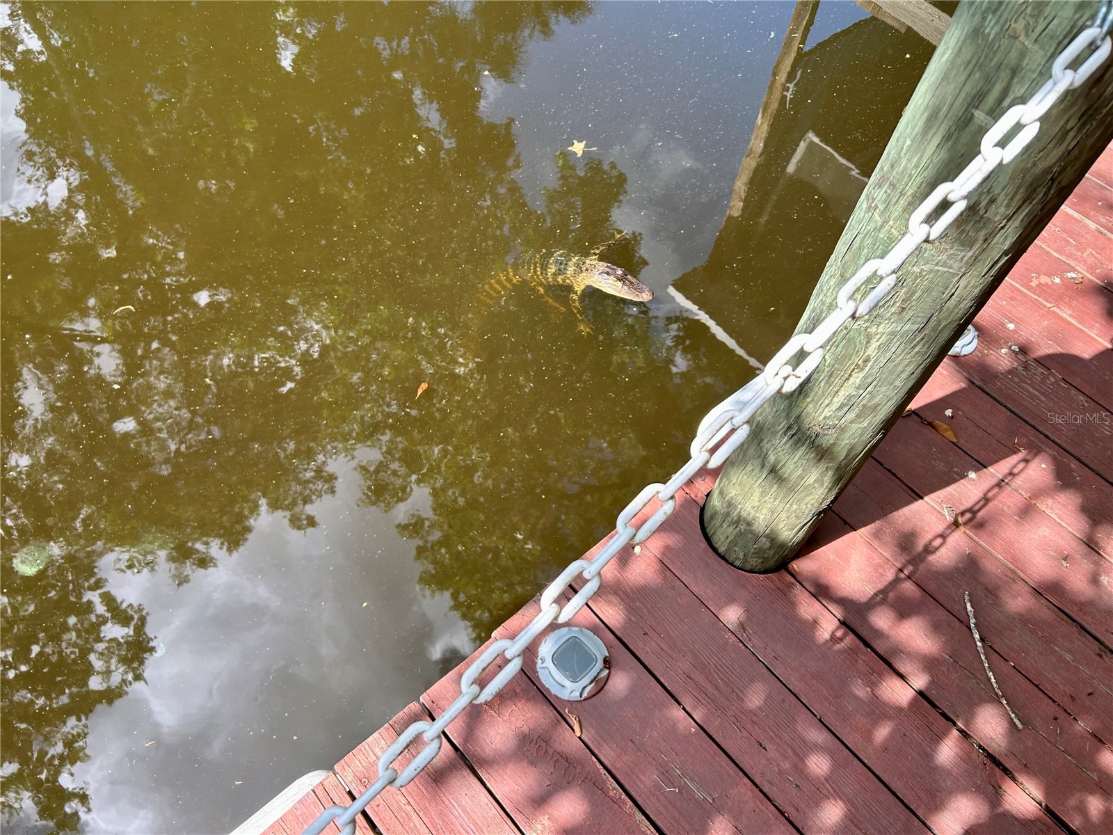 25646 Bass Road Astor FL 32102 - ST JOHNS RIVER R4911203 image11