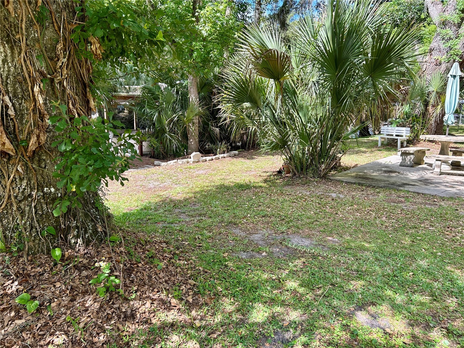 25646 Bass Road Astor FL 32102 - ST JOHNS RIVER R4911203 image39