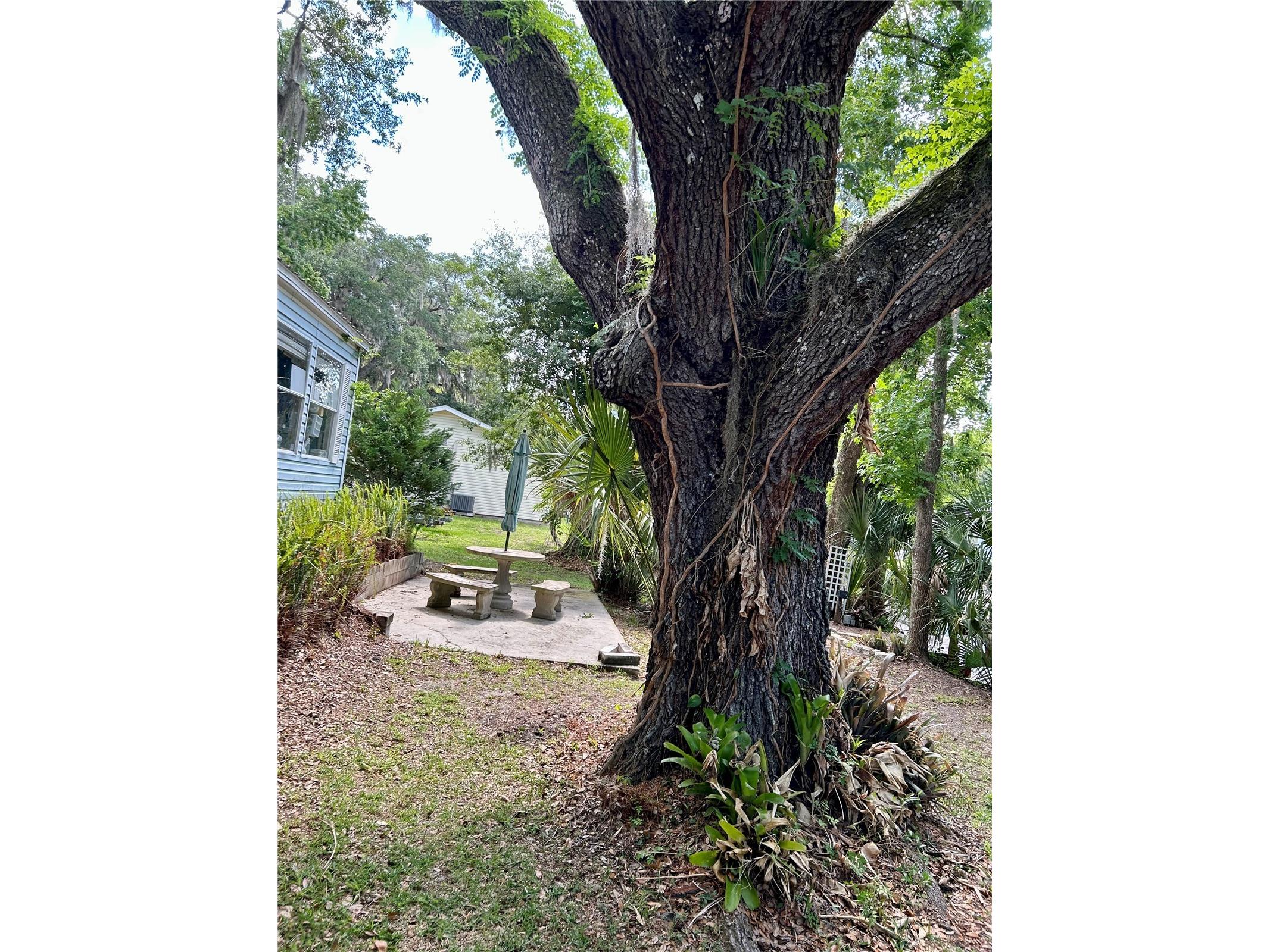 25646 Bass Road Astor FL 32102 - ST JOHNS RIVER R4911203 image48
