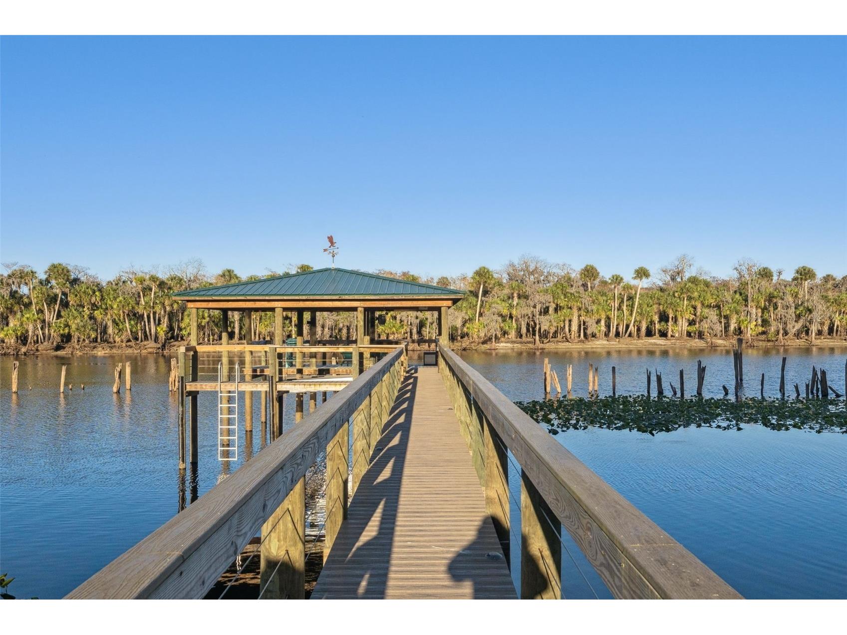 2565 E Osceola Road Geneva FL 32732 - ST JOHNS RIVER O6352254 image16