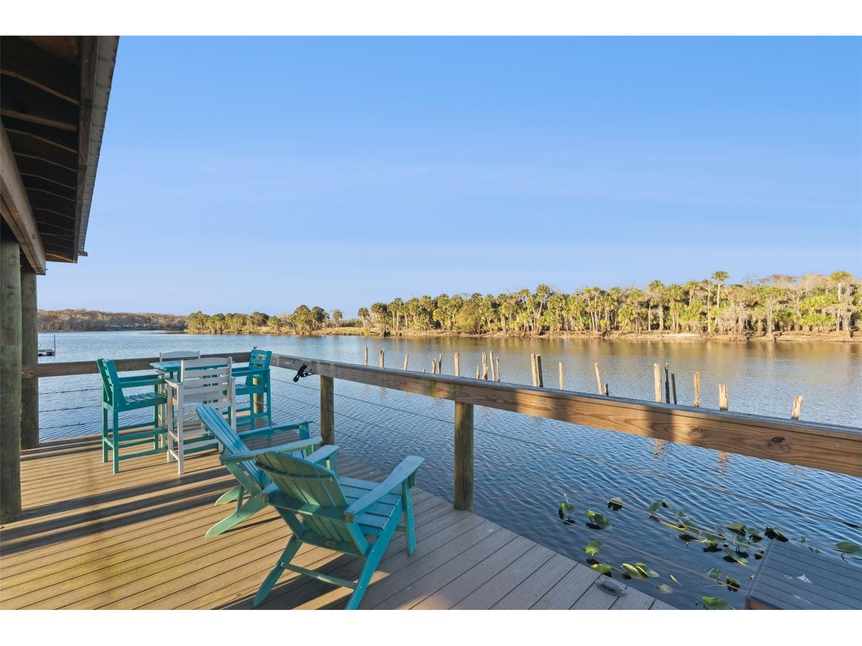 2565 E Osceola Road Geneva FL 32732 - ST JOHNS RIVER O6352254 image18