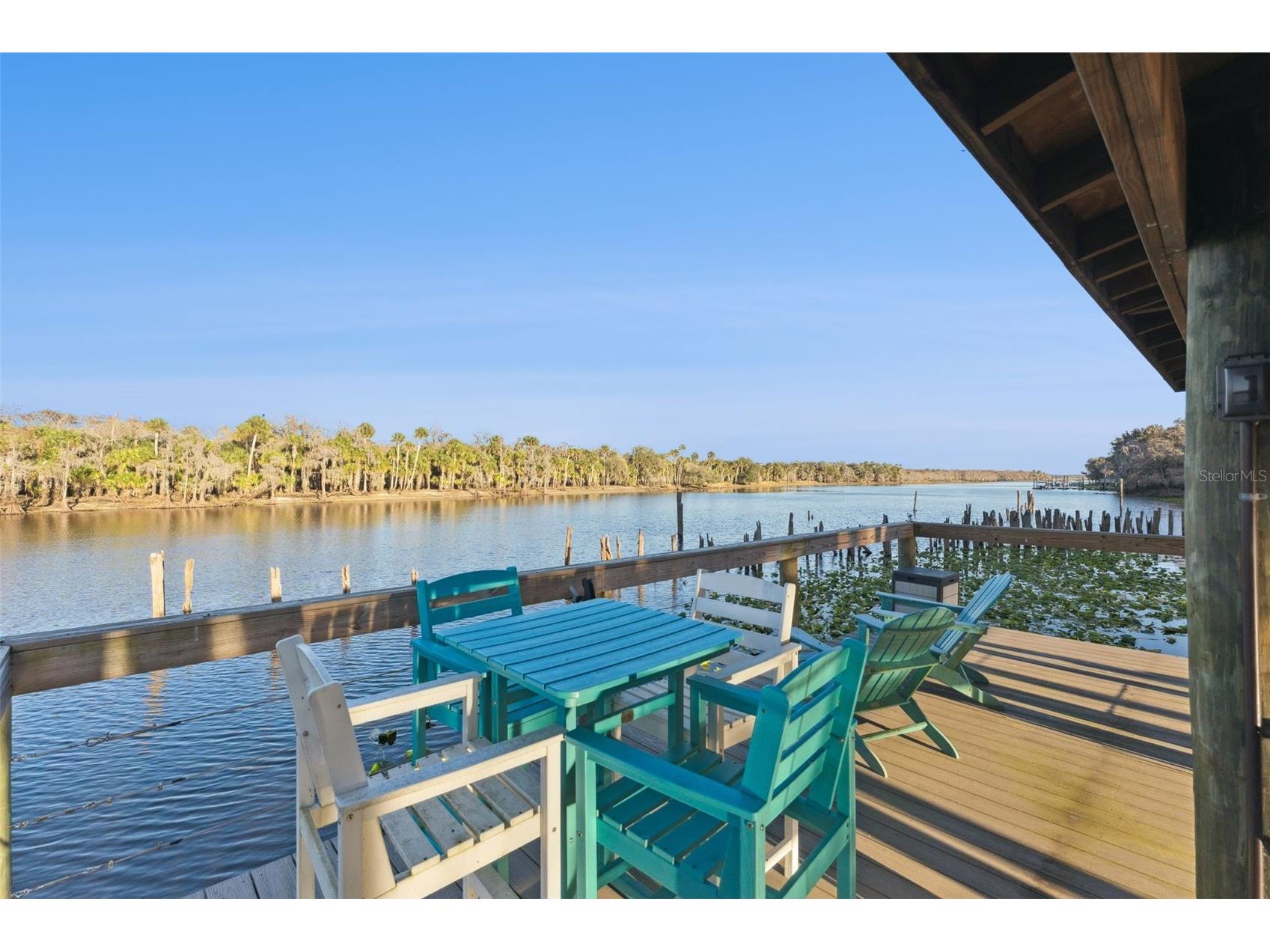 2565 E Osceola Road Geneva FL 32732 - ST JOHNS RIVER O6352254 image19