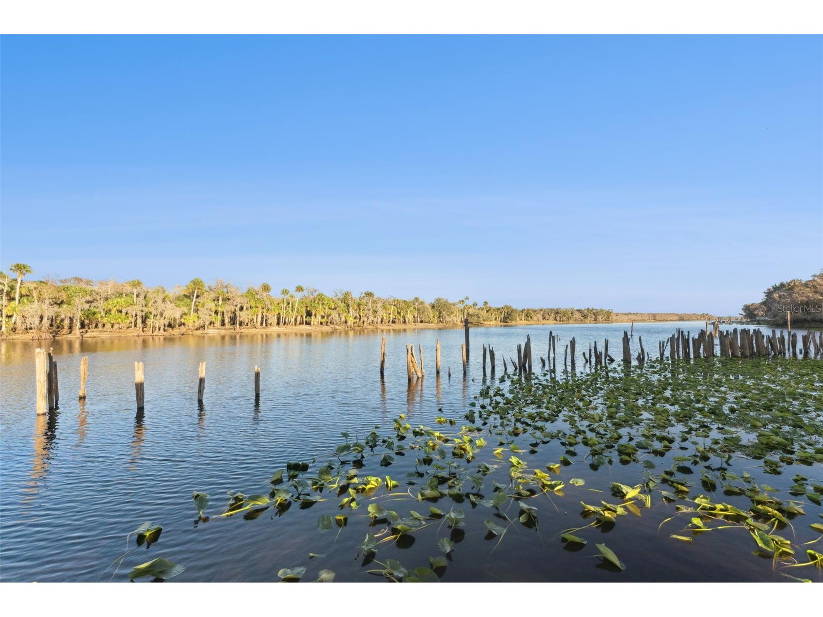 2565 E Osceola Road Geneva FL 32732 - ST JOHNS RIVER O6352254 image25