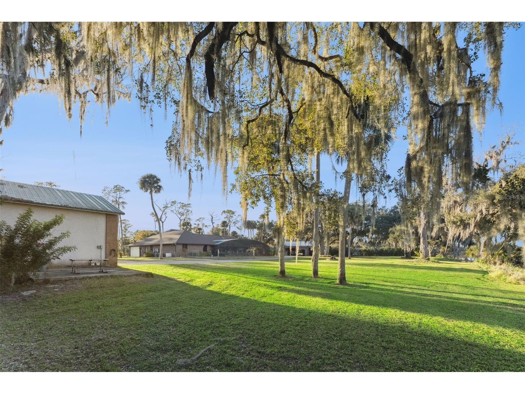2565 E Osceola Road Geneva FL 32732 - ST JOHNS RIVER O6352254 image44