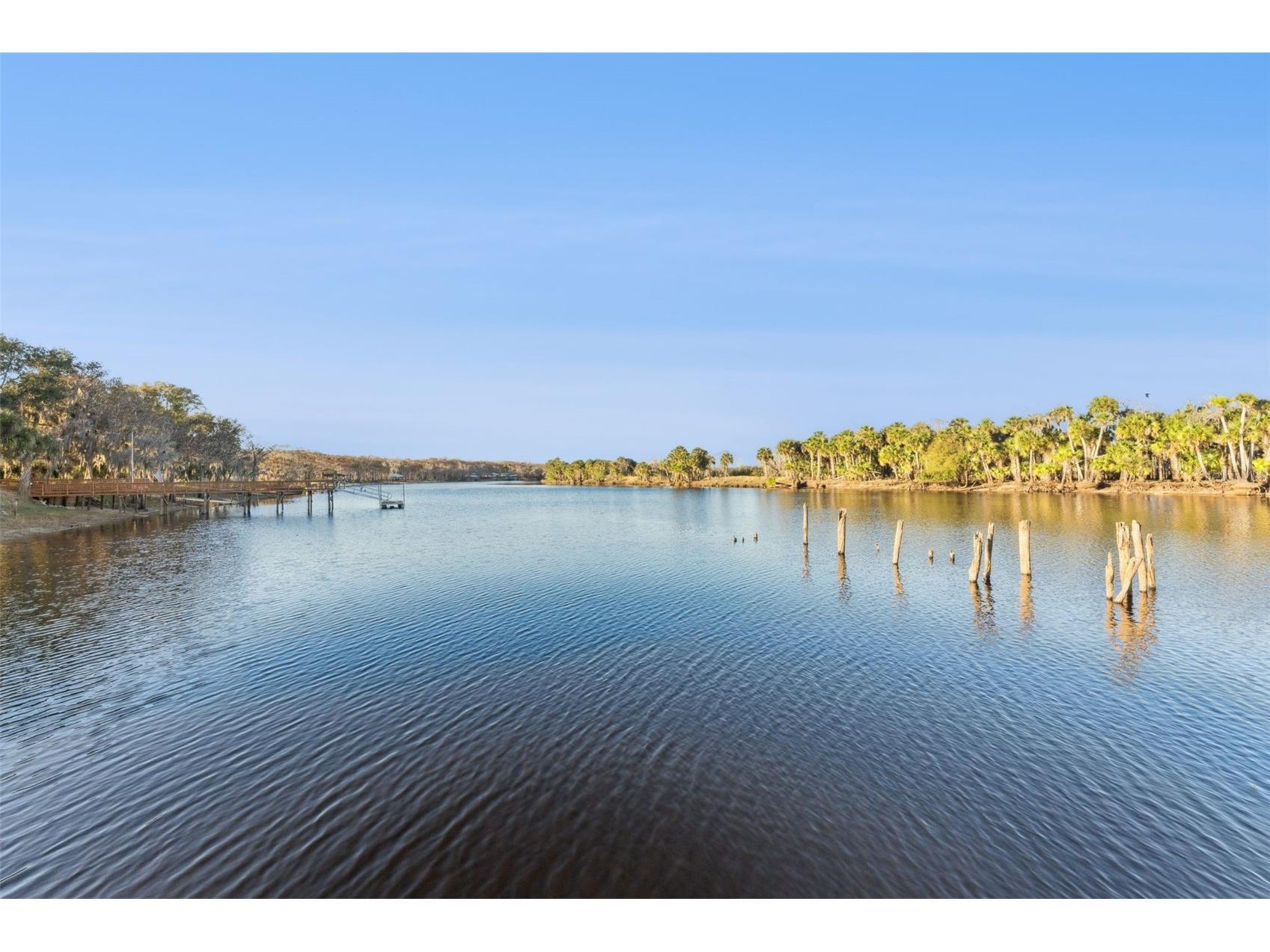 2565 E Osceola Road Geneva FL 32732 - ST JOHNS RIVER O6352254 image5