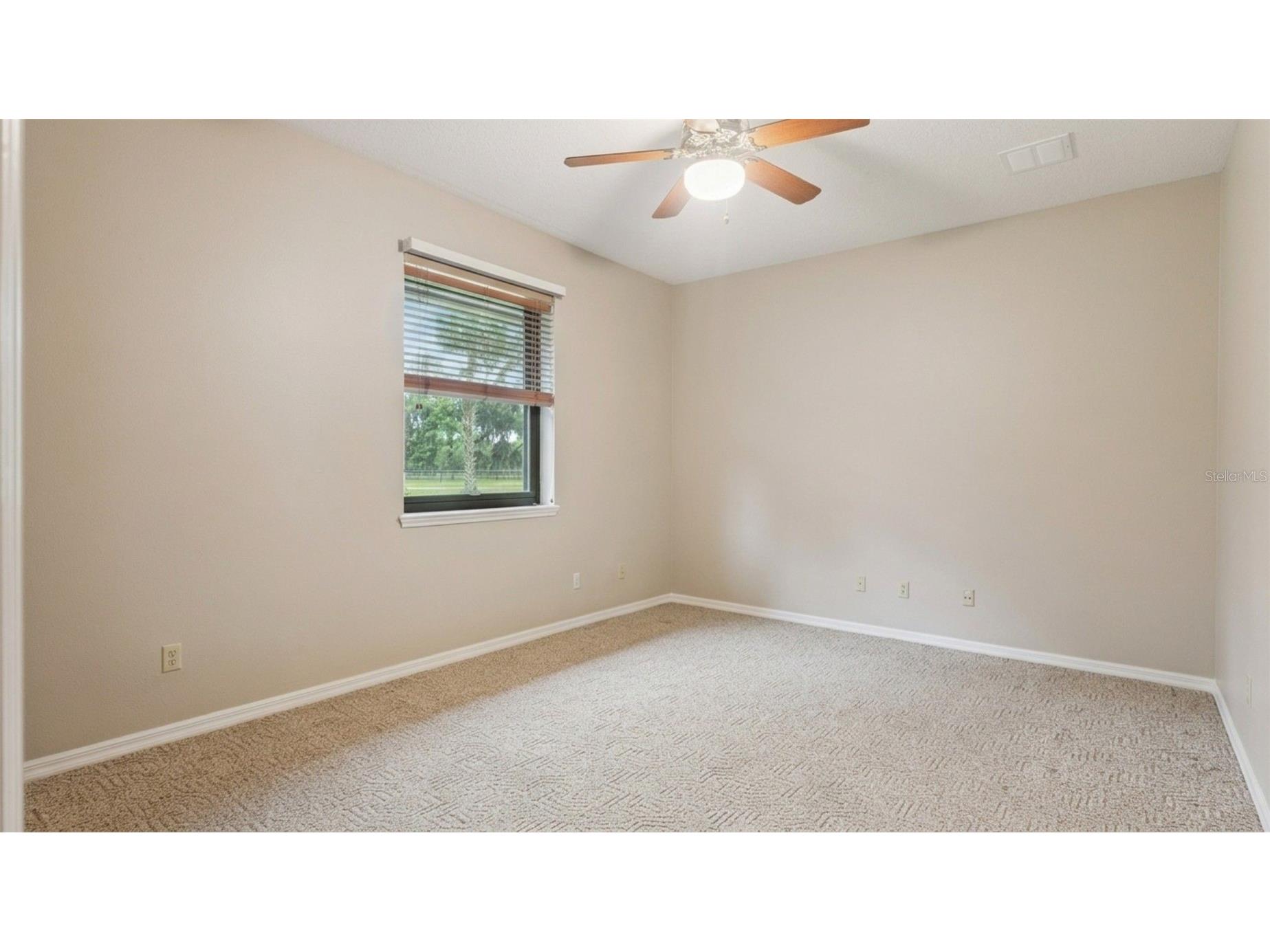 2565 E Osceola Road Geneva FL 32732 - ST JOHNS RIVER O6352254 image59
