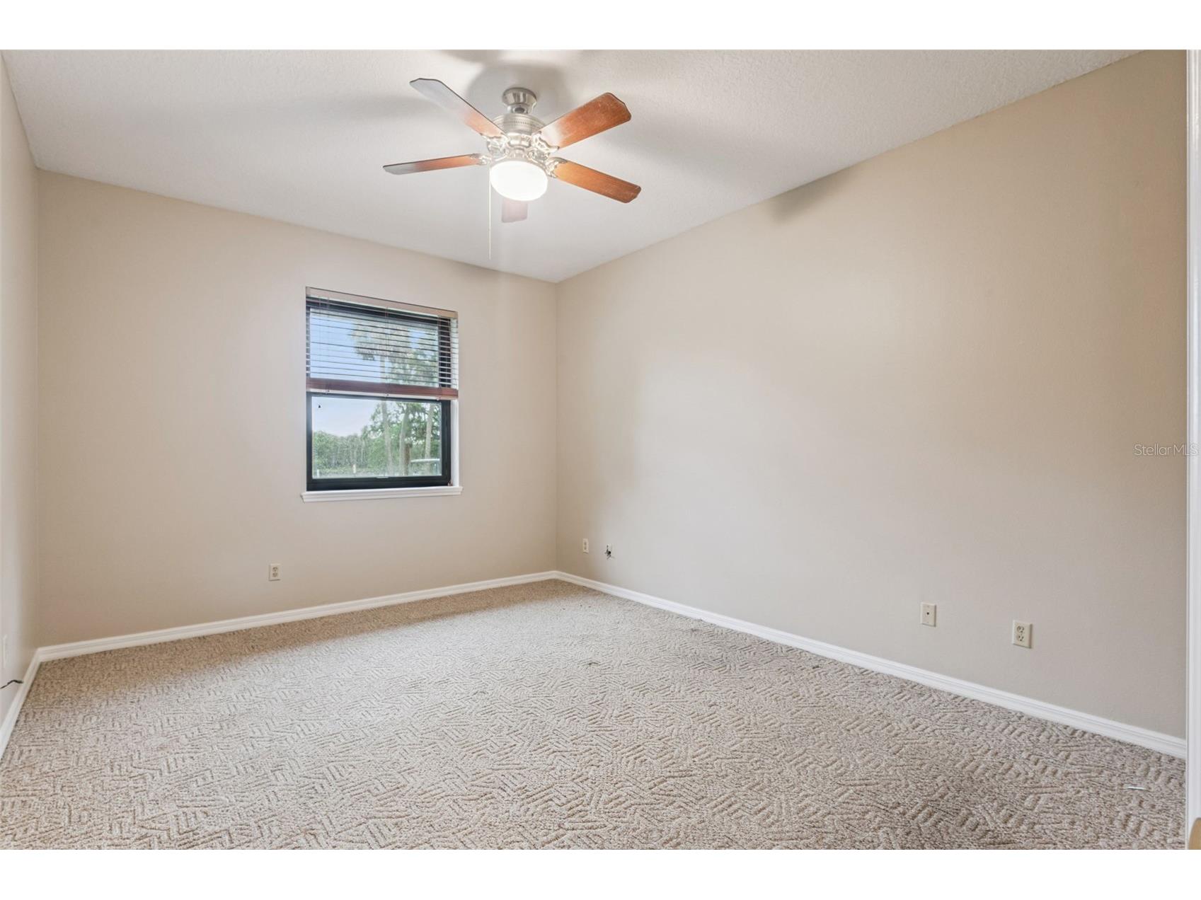 2565 E Osceola Road Geneva FL 32732 - ST JOHNS RIVER O6352254 image60