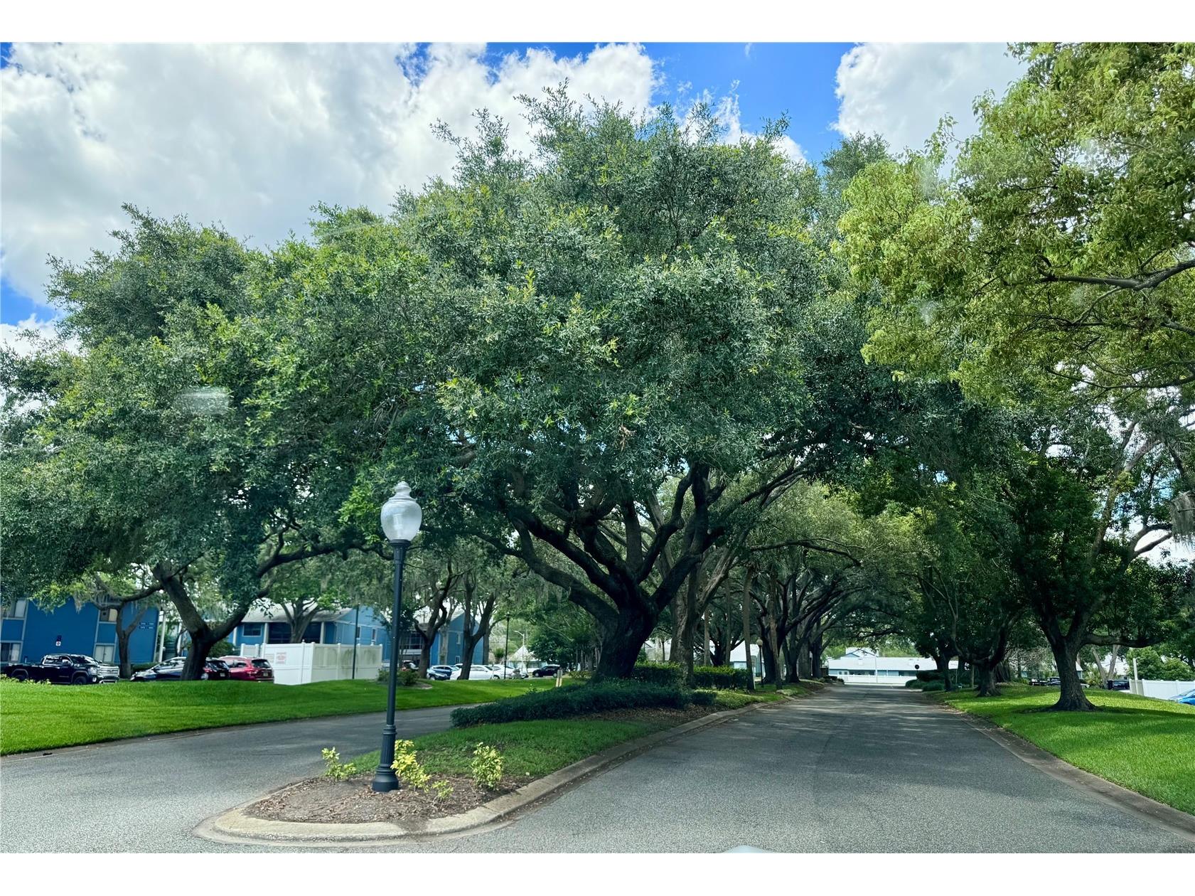 2565 Oak Park Way #213 Orlando FL 32822 O6400894 image16