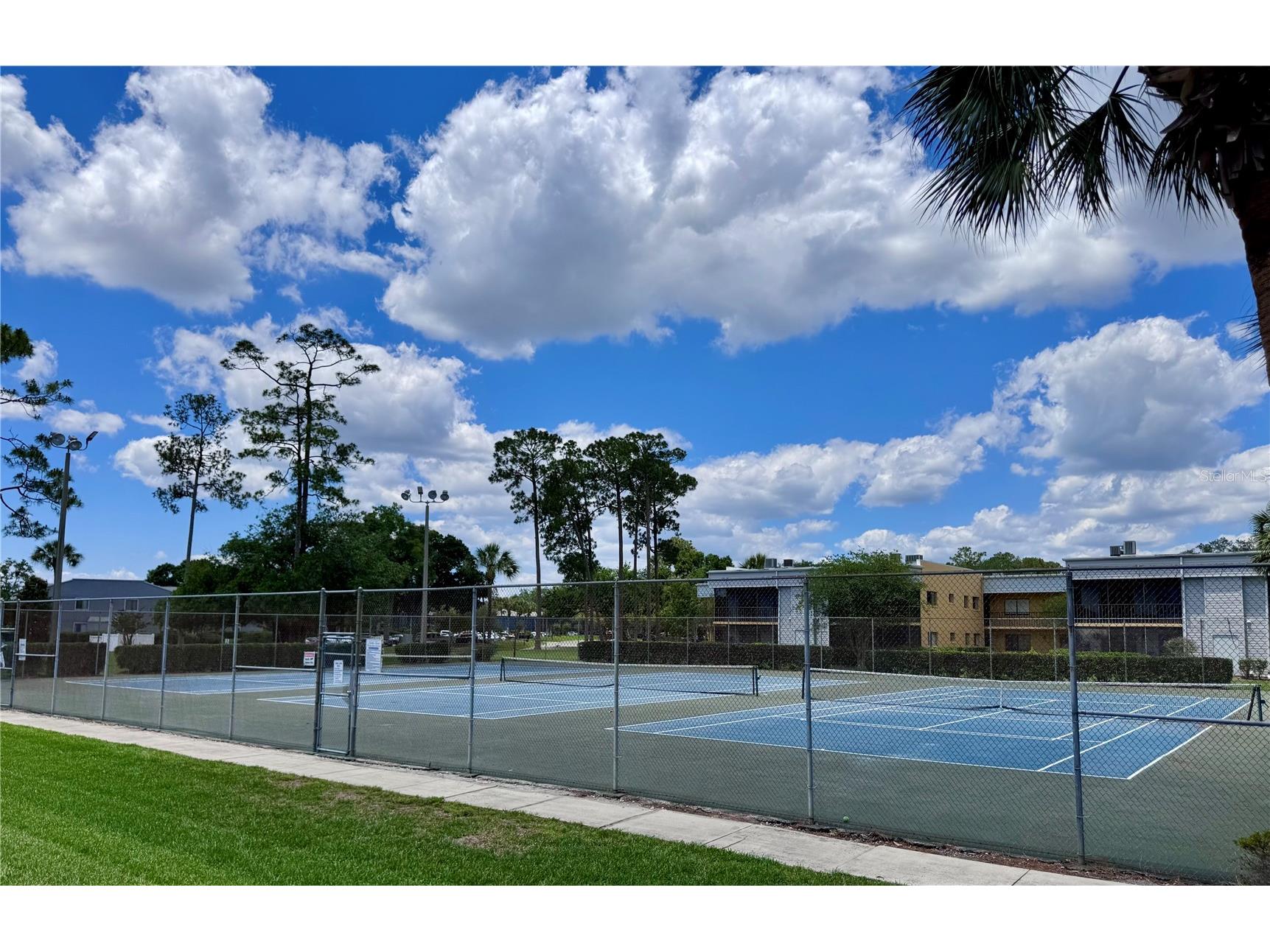 2565 Oak Park Way #213 Orlando FL 32822 O6400894 image21