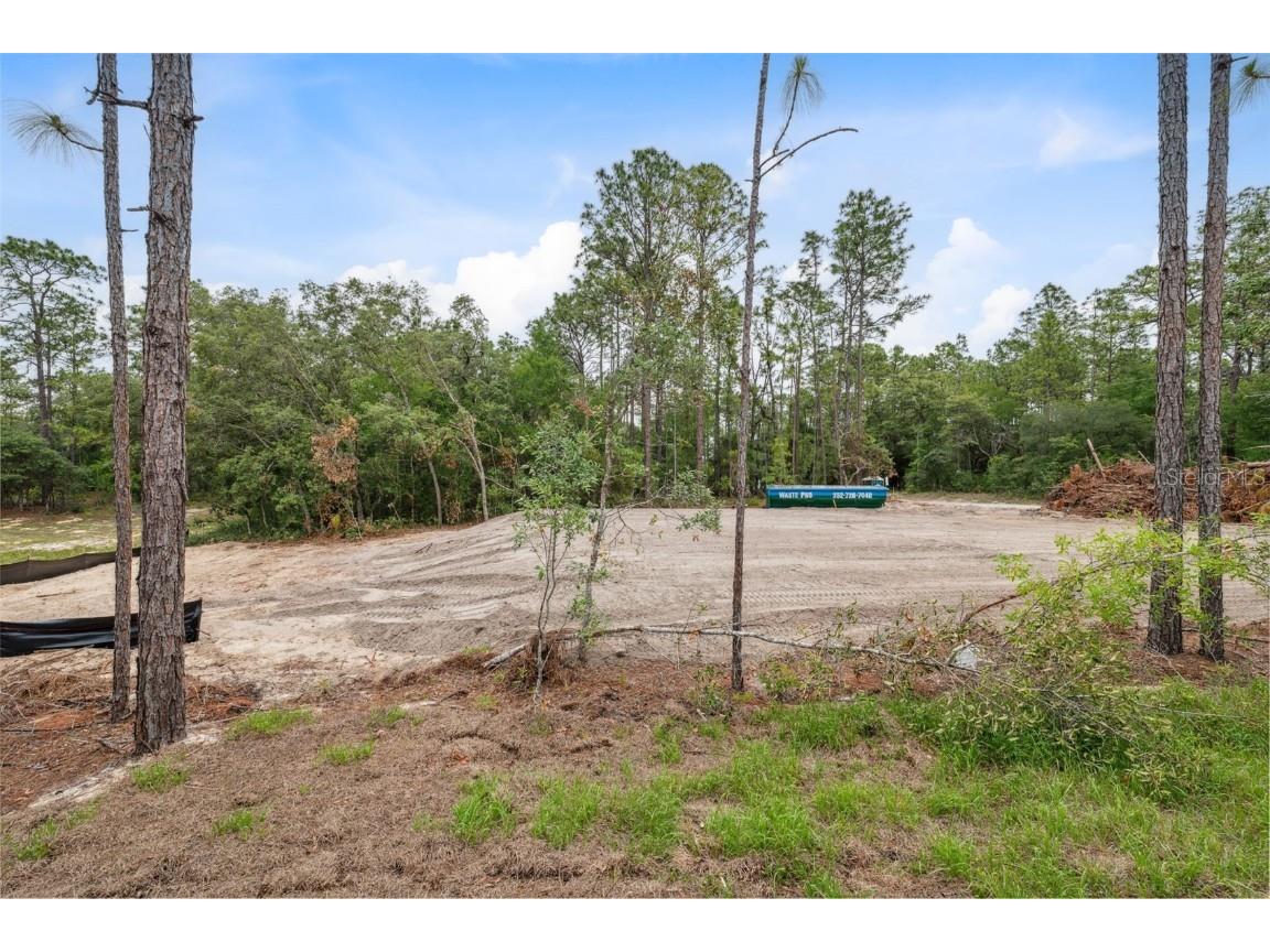 2565 W Laredo Drive Citrus Springs FL 34433 O6311816 image37