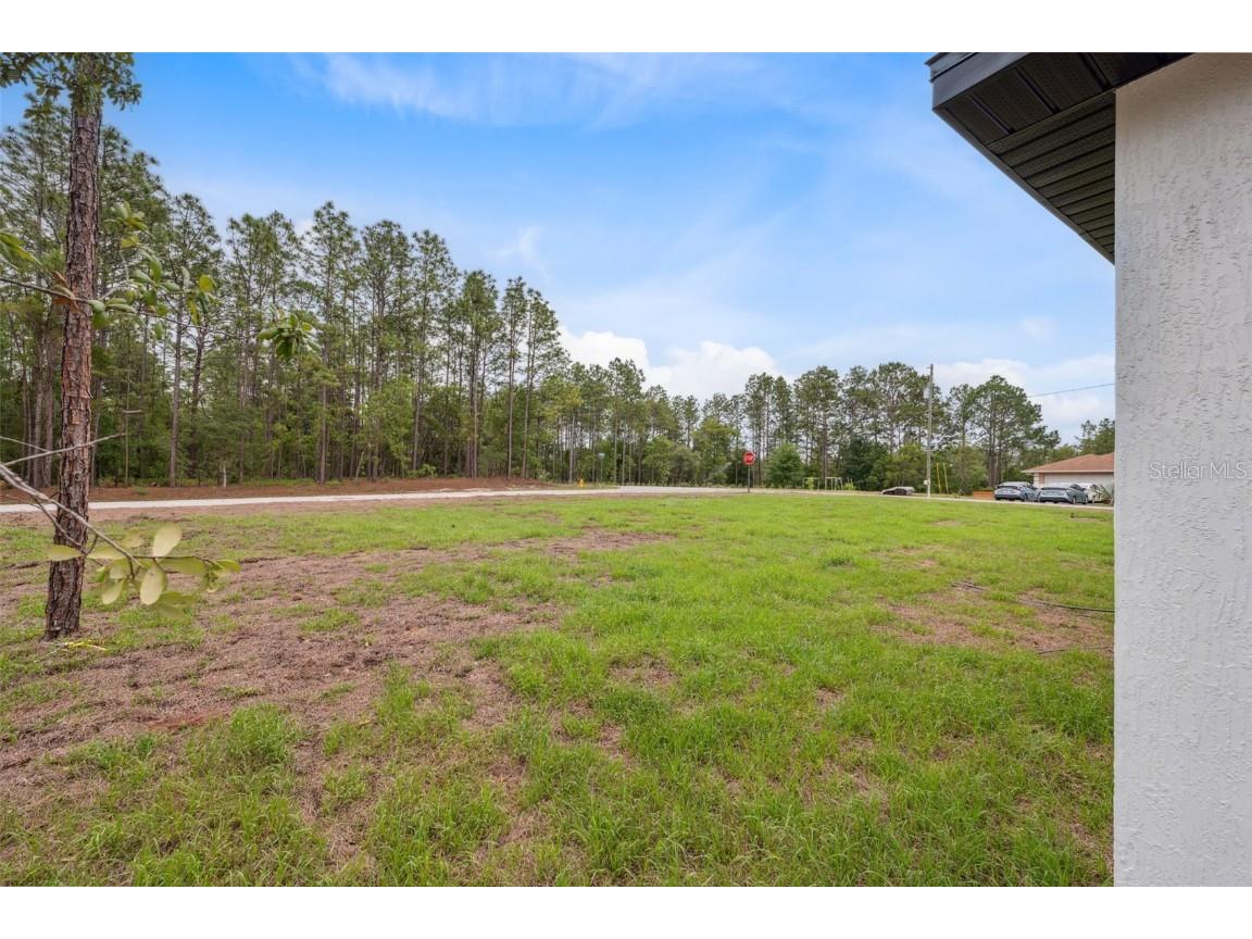 2565 W Laredo Drive Citrus Springs FL 34433 O6311816 image39