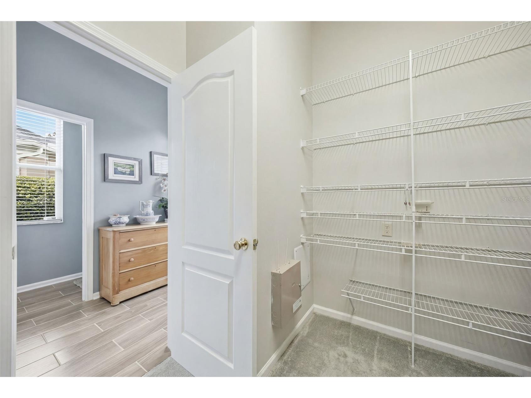 25651 Ferdinand Court Wesley Chapel FL 33544 TB8523142 image16