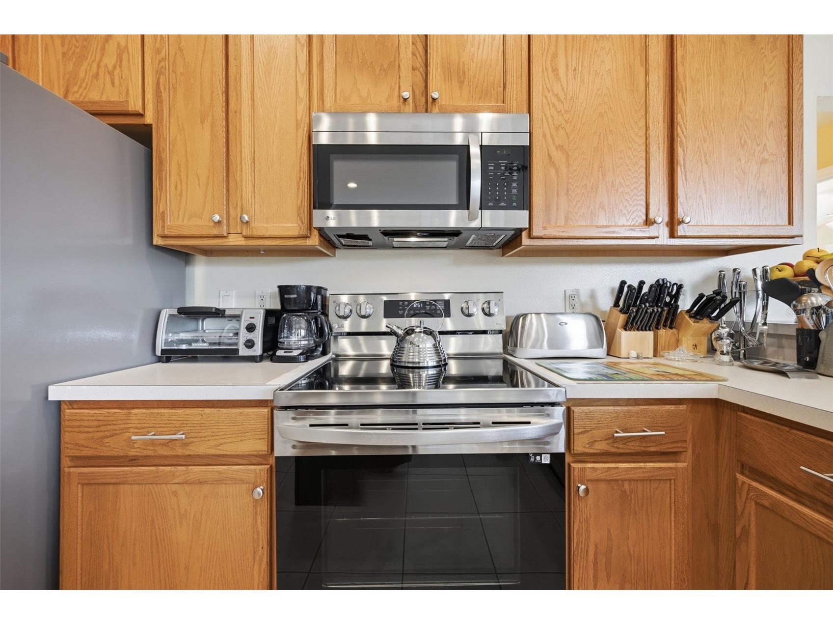 25651 Ferdinand Court Wesley Chapel FL 33544 TB8523142 image23