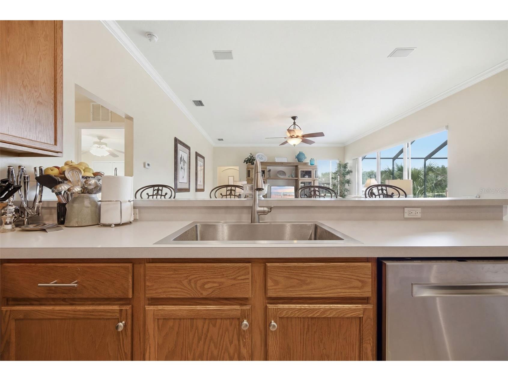 25651 Ferdinand Court Wesley Chapel FL 33544 TB8523142 image24