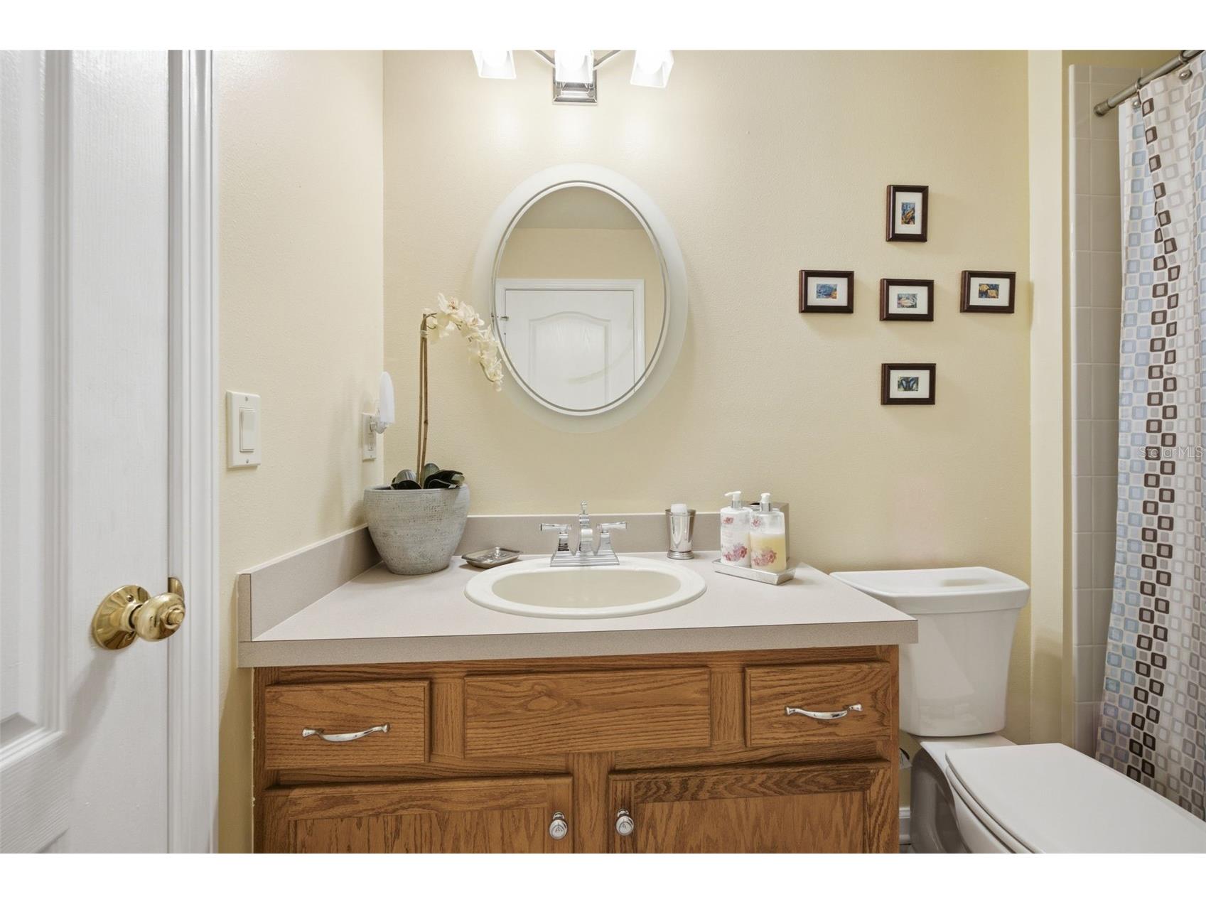 25651 Ferdinand Court Wesley Chapel FL 33544 TB8523142 image35