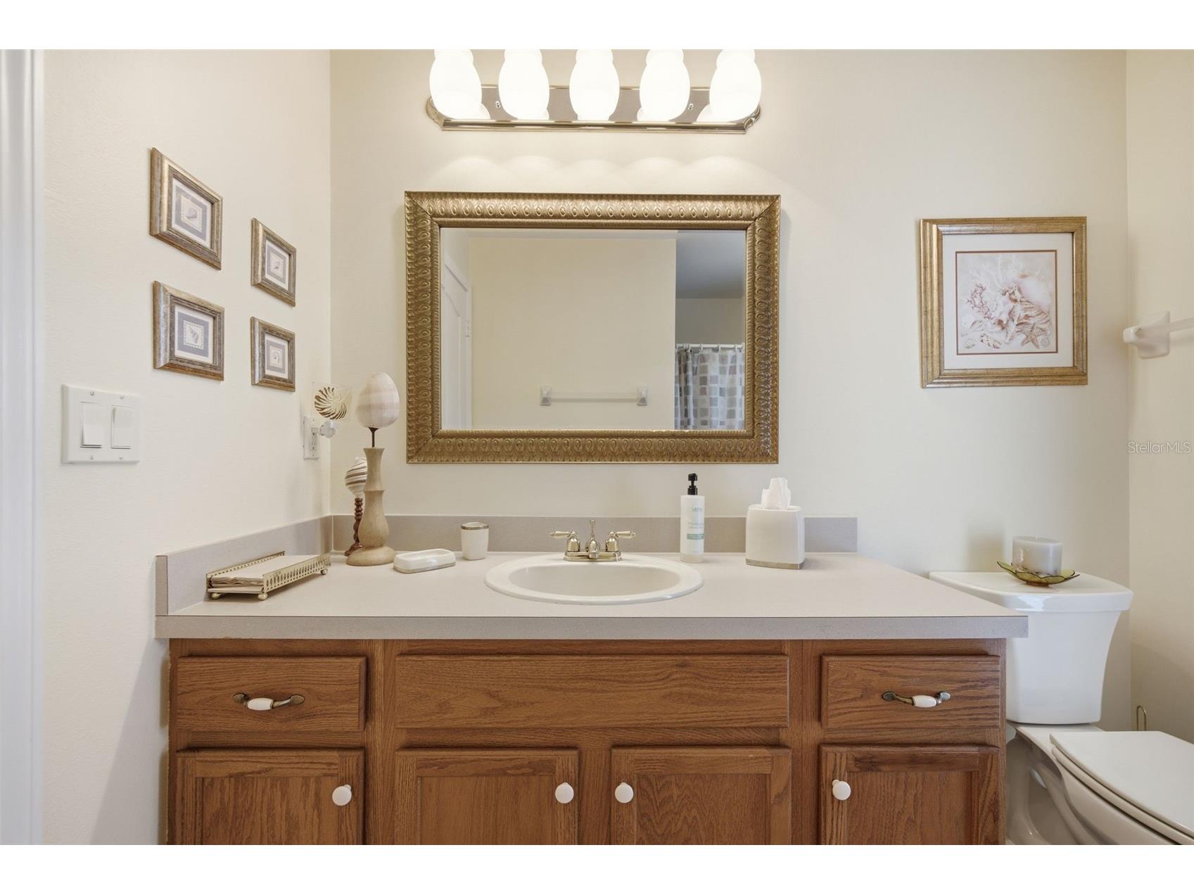 25651 Ferdinand Court Wesley Chapel FL 33544 TB8523142 image40