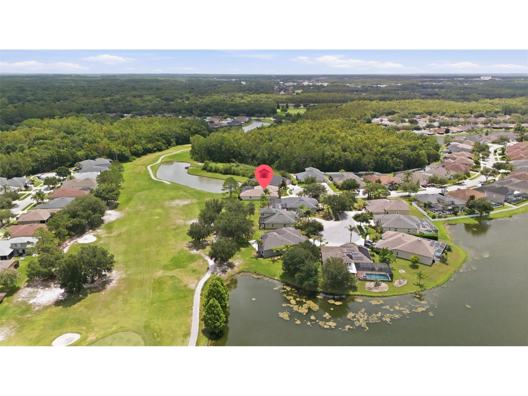 25651 Ferdinand Court Wesley Chapel FL 33544 TB8523142 image64