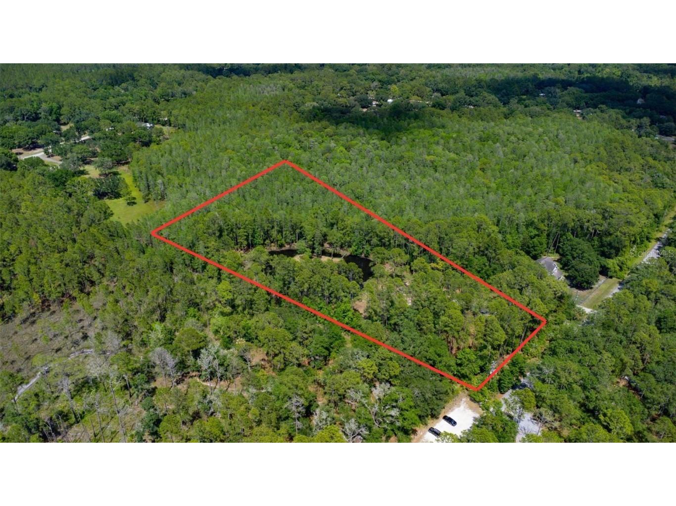 25653 Queen Sago Place Wesley Chapel FL 33544 T3442811 image1