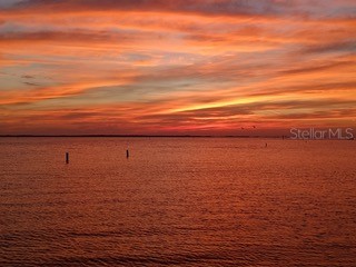 2566 Gary Circle #2 Dunedin FL 34698 TB8466907 image53