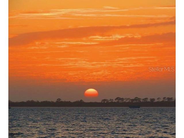 2566 Gary Circle #2 Dunedin FL 34698 TB8466907 image54