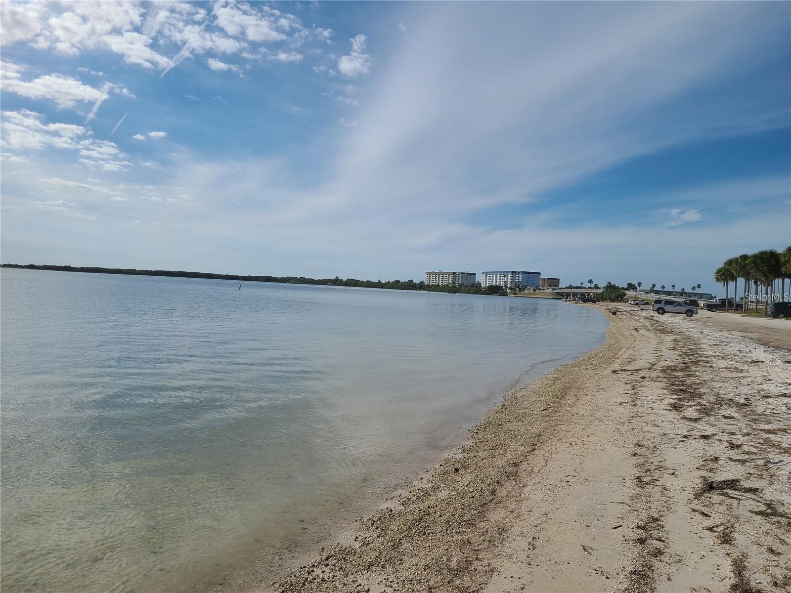 2566 Gary Circle #5 Dunedin FL 34698 A4685469 image12