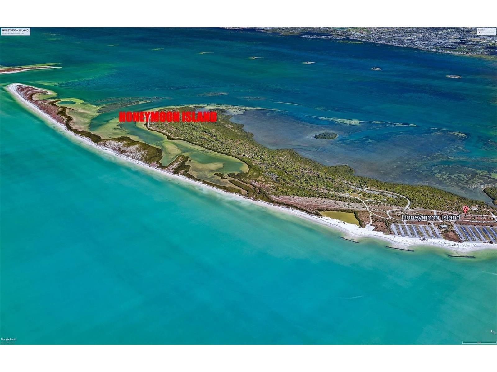 2566 Gary Circle #5 Dunedin FL 34698 A4685469 image22