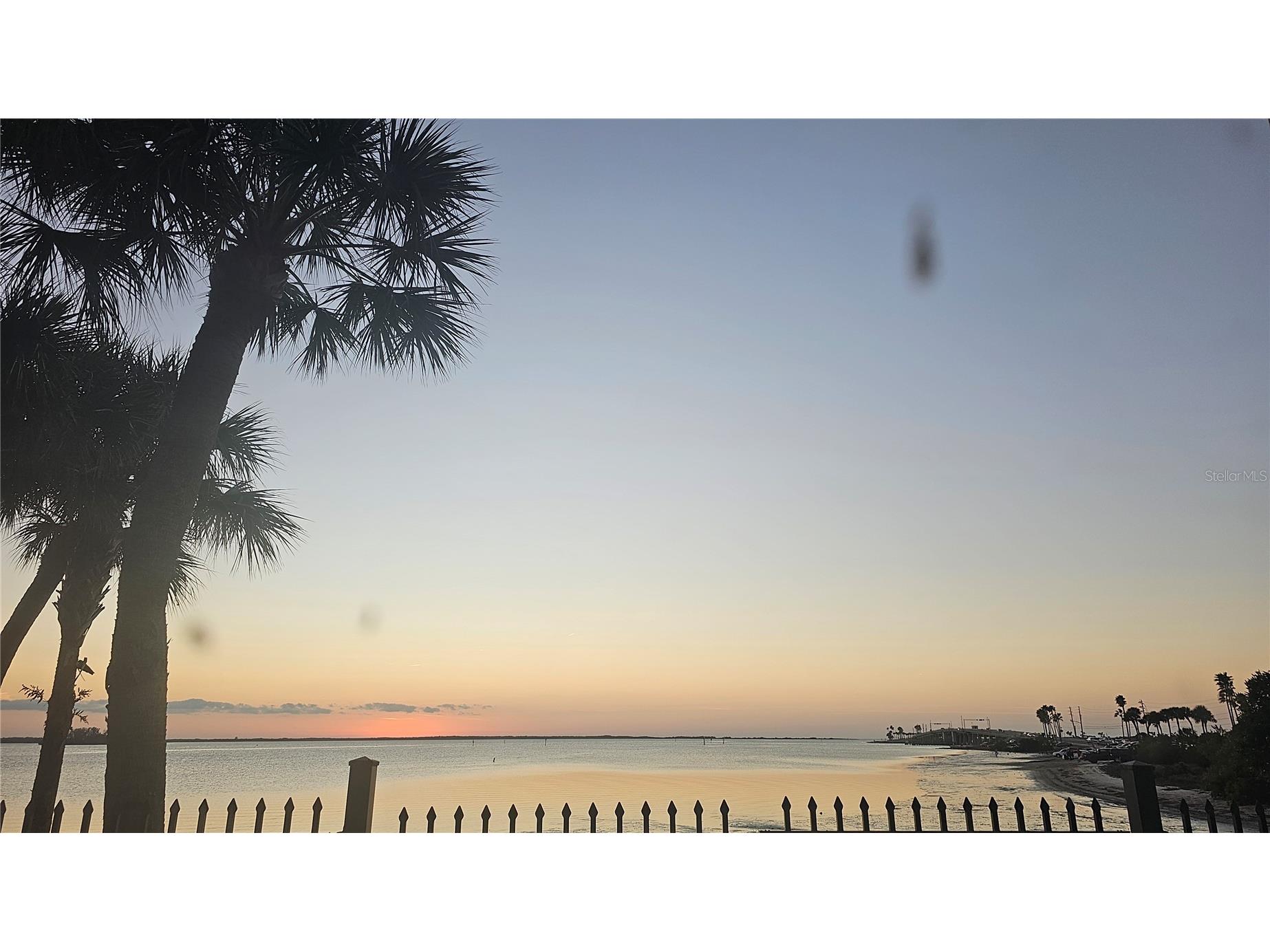 2566 Gary Circle #5 Dunedin FL 34698 A4685469 image23