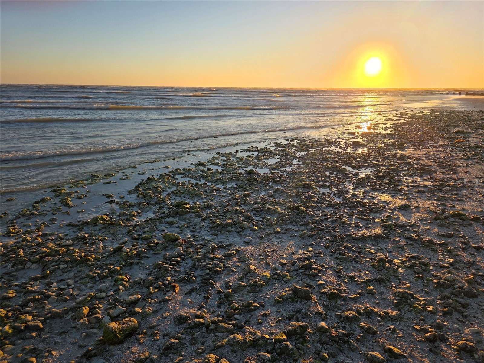 2566 Gary Circle #5 Dunedin FL 34698 A4685469 image24