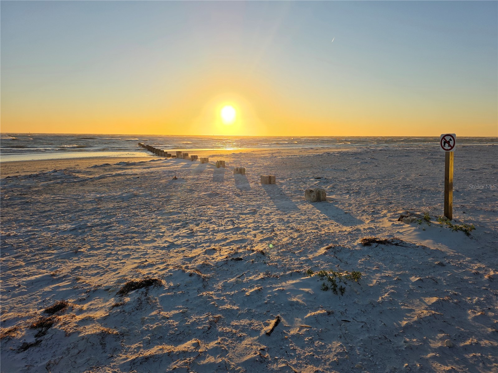 2566 Gary Circle #5 Dunedin FL 34698 A4685469 image27