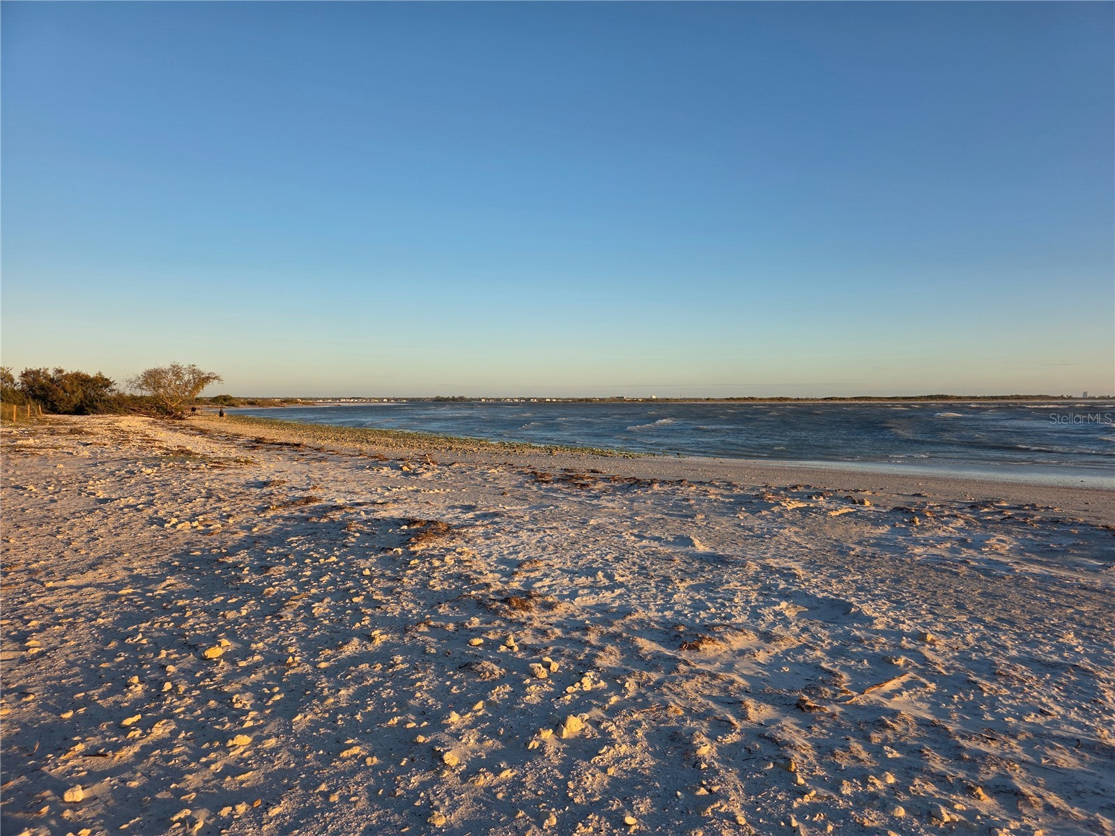 2566 Gary Circle #5 Dunedin FL 34698 A4685469 image29