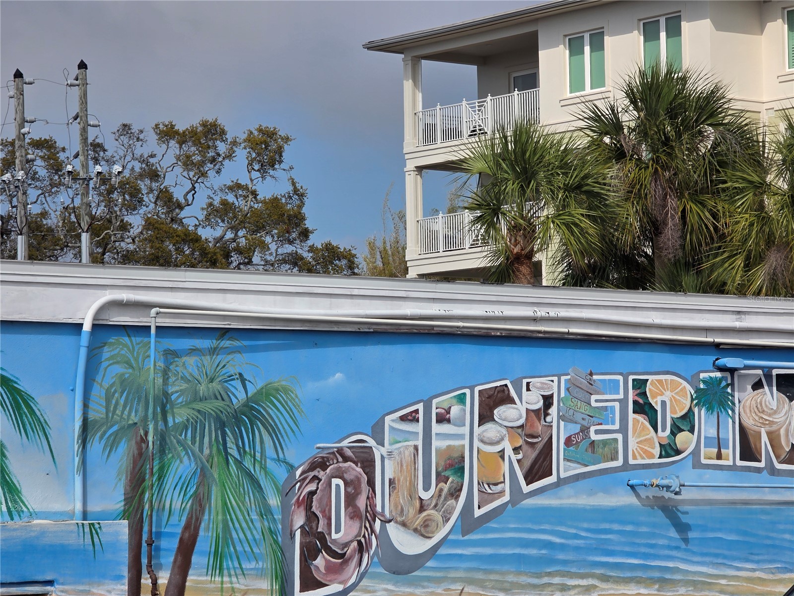 2566 Gary Circle #5 Dunedin FL 34698 A4685469 image43