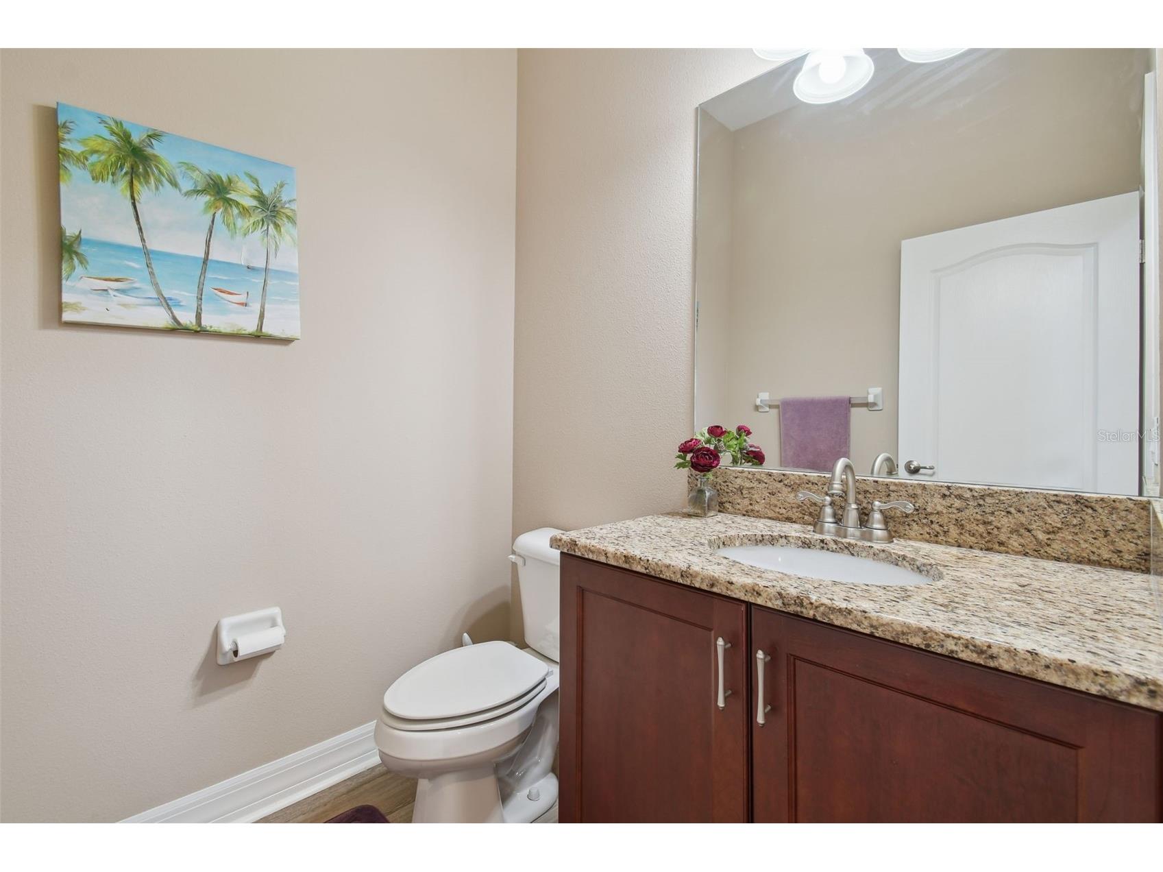 2566 Lake Manor Drive Land O Lakes FL 34639 - LAKE PADGETT TB8463399 image16