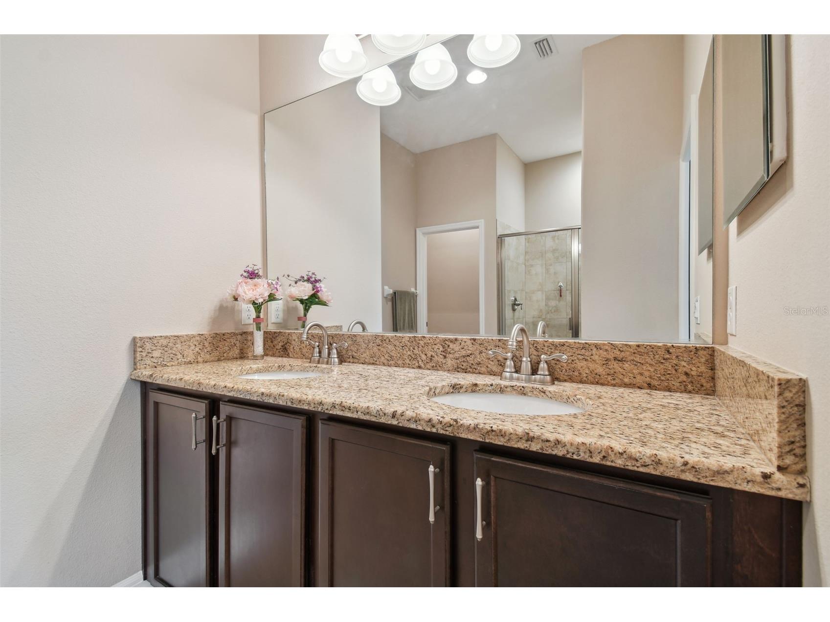 2566 Lake Manor Drive Land O Lakes FL 34639 - LAKE PADGETT TB8463399 image34