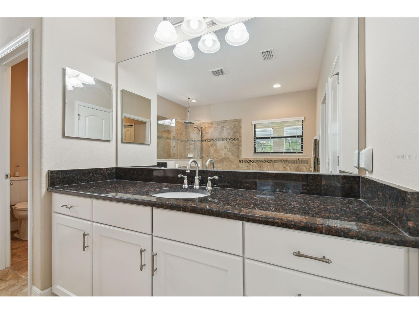 2566 Lake Manor Drive Land O Lakes FL 34639 - LAKE PADGETT TB8463399 image45