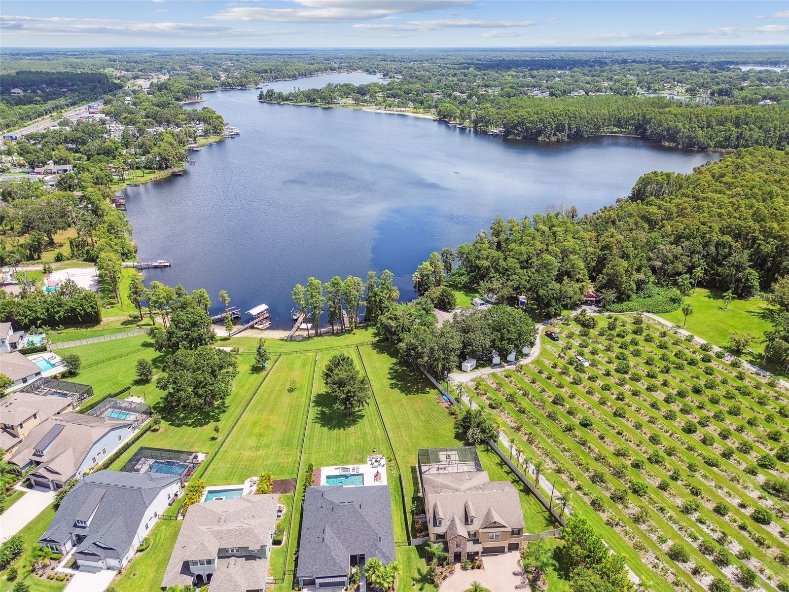 2566 Lake Manor Drive Land O Lakes FL 34639 - LAKE PADGETT TB8463399 image6