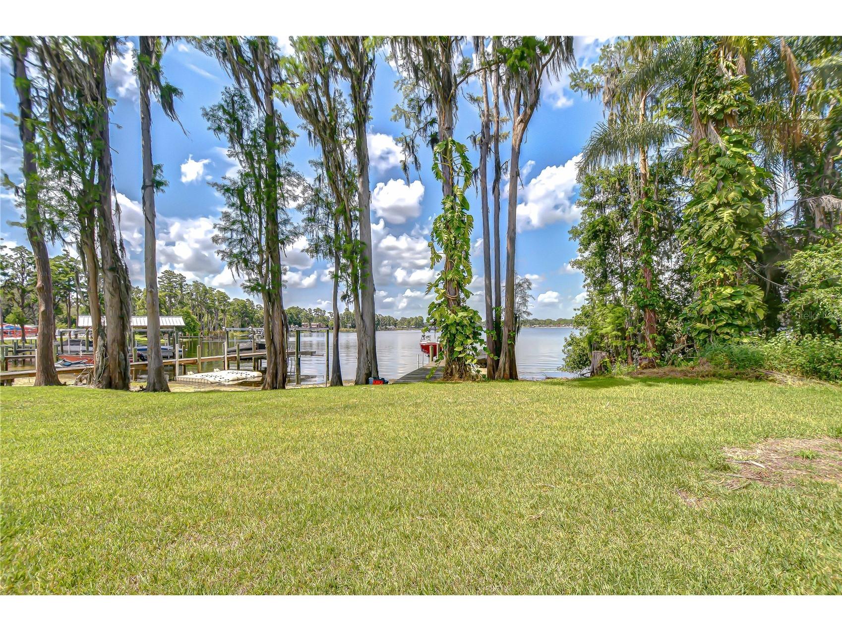2566 Lake Manor Drive Land O Lakes FL 34639 - LAKE PADGETT TB8463399 image69