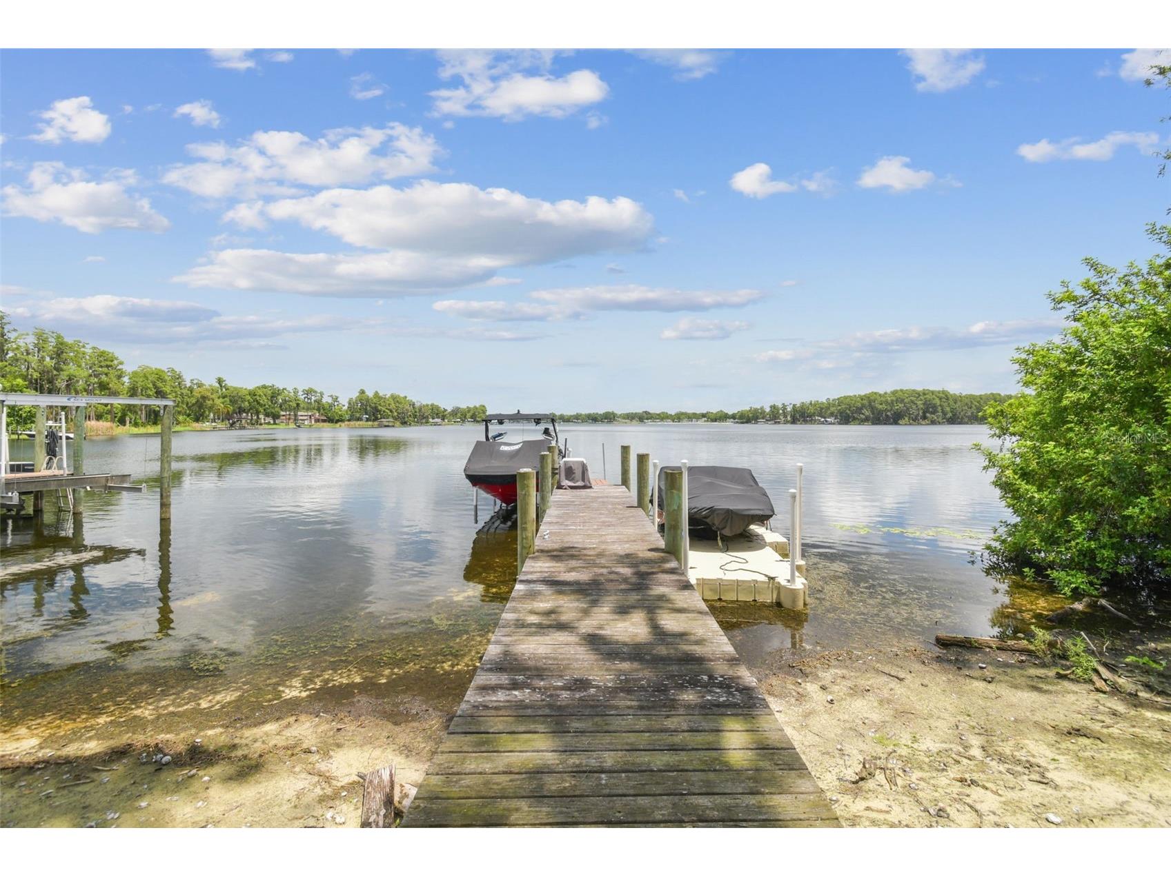 2566 Lake Manor Drive Land O Lakes FL 34639 - LAKE PADGETT TB8463399 image70