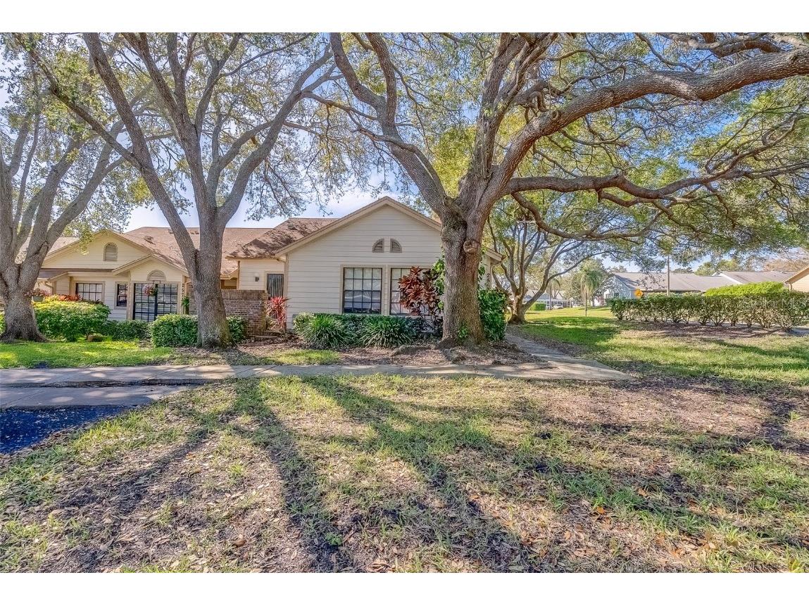 2567 Bentley Drive Palm Harbor FL 34684 TB8399750 image1