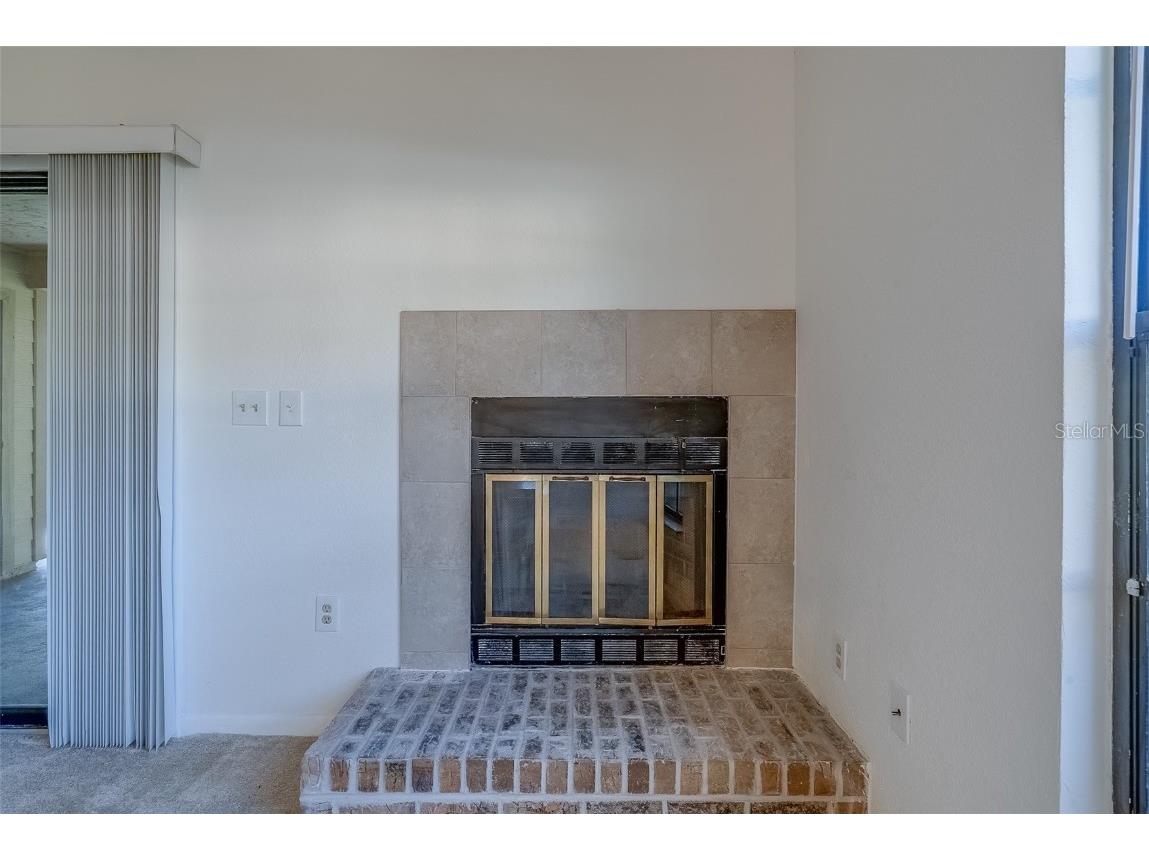 2567 Bentley Drive Palm Harbor FL 34684 TB8399750 image19