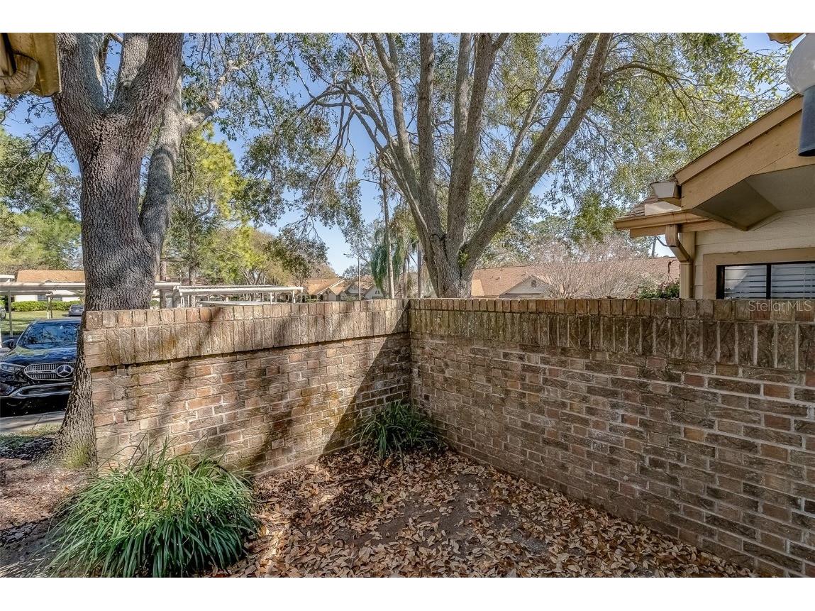 2567 Bentley Drive Palm Harbor FL 34684 TB8399750 image26