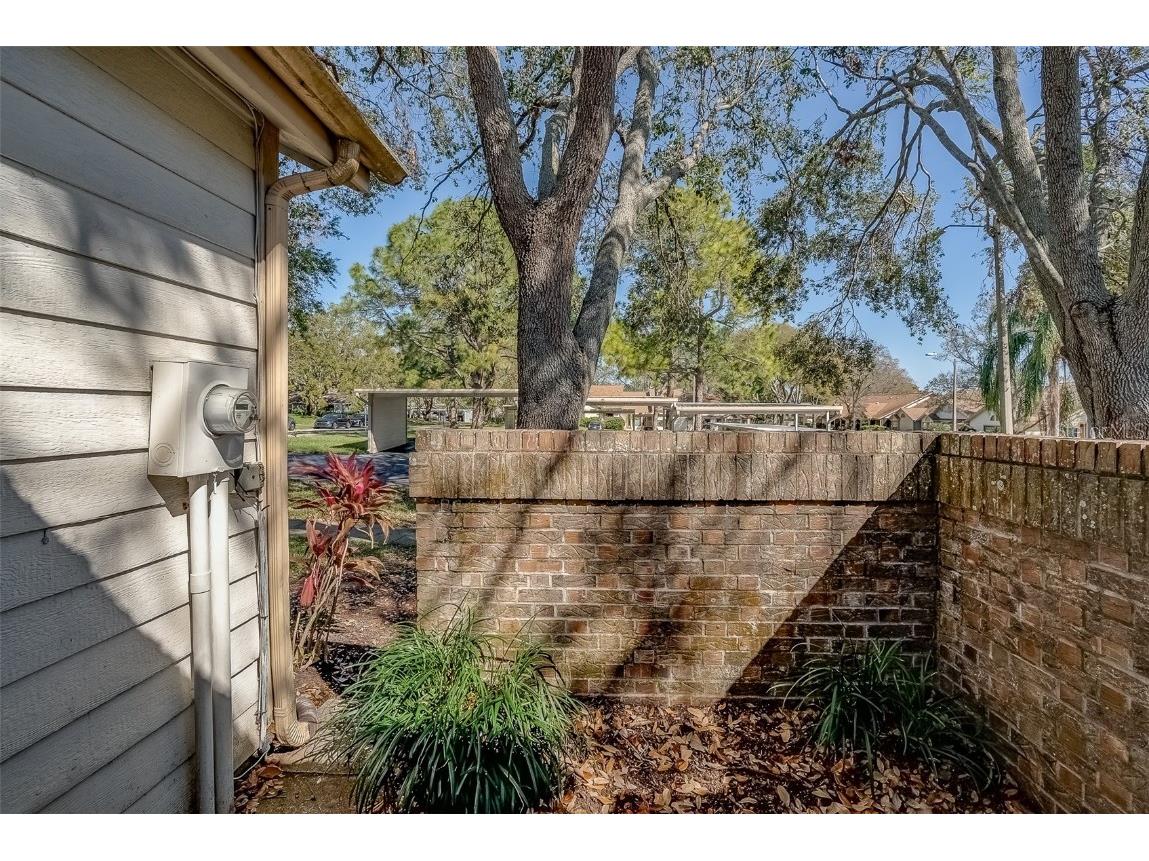 2567 Bentley Drive Palm Harbor FL 34684 TB8399750 image27