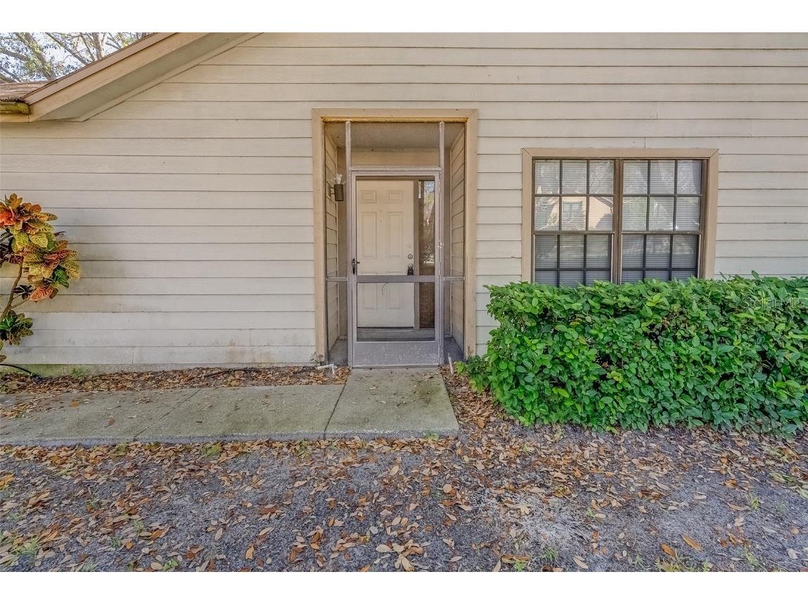 2567 Bentley Drive Palm Harbor FL 34684 TB8399750 image3