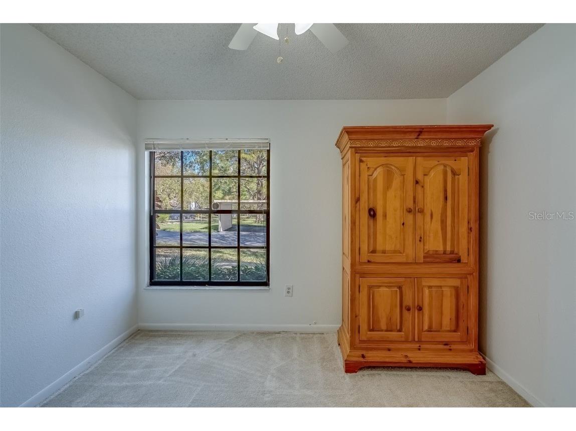 2567 Bentley Drive Palm Harbor FL 34684 TB8399750 image31