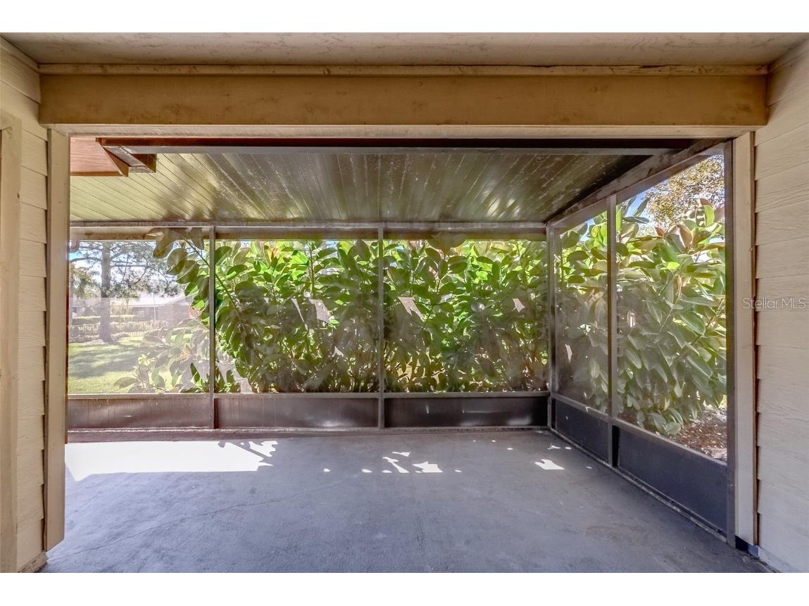 2567 Bentley Drive Palm Harbor FL 34684 TB8399750 image33