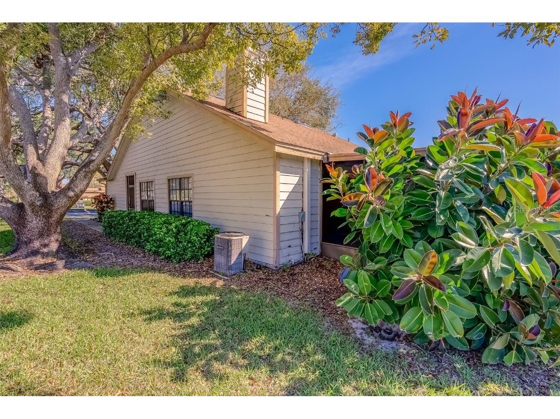 2567 Bentley Drive Palm Harbor FL 34684 TB8399750 image38
