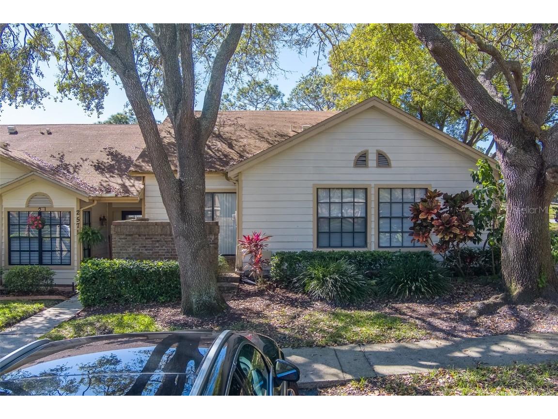 2567 Bentley Drive Palm Harbor FL 34684 TB8399750 image39