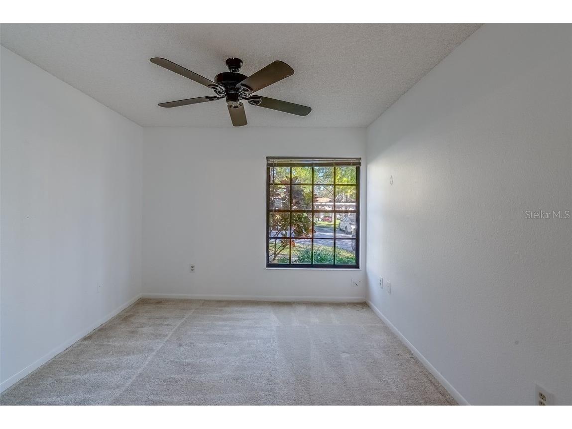 2567 Bentley Drive Palm Harbor FL 34684 TB8399750 image4